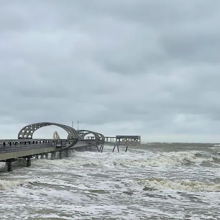 Herz Von 12 - Happy Sea